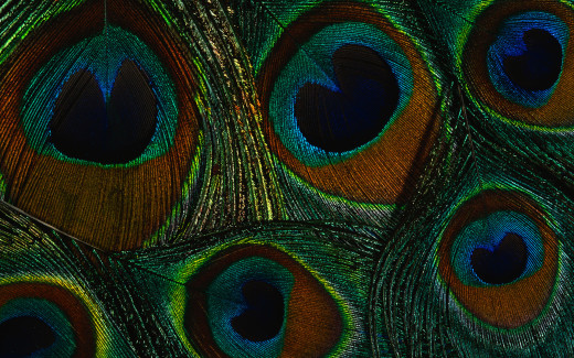 474330 (a): :1920x1200